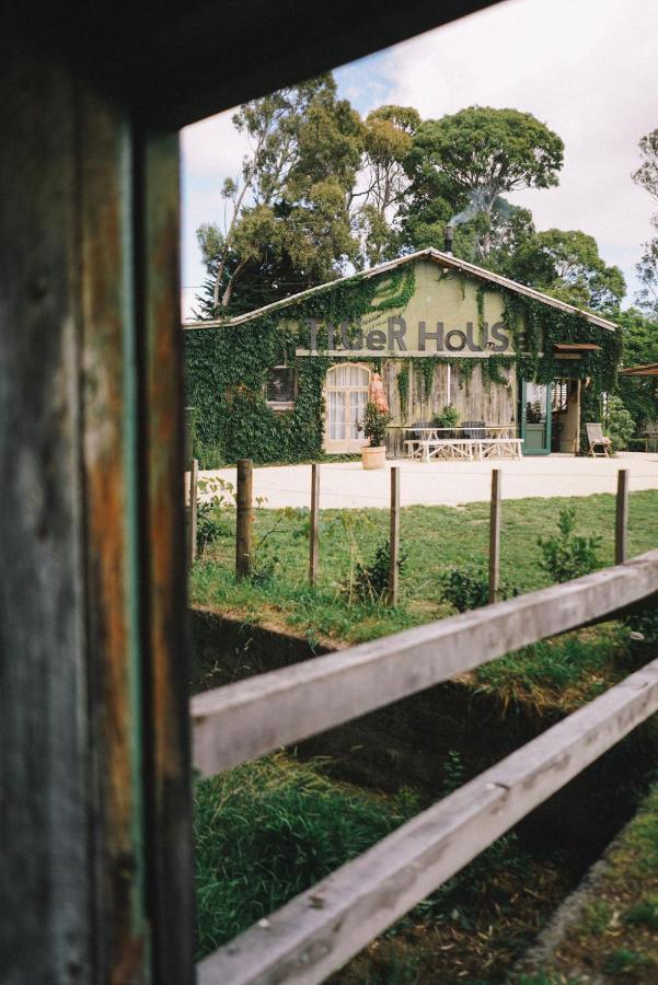Converted Barn - Tiger House Hermitage Havelock North Extérieur photo